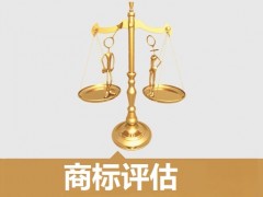 商標(biāo)的價(jià)值評(píng)估，新手賣家必看